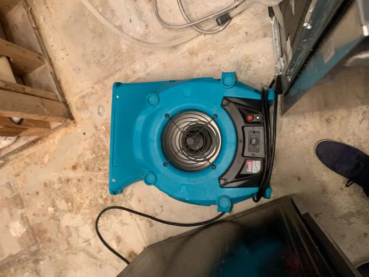 Air mover drying equipment for Mold Remediation & Removal in Troy